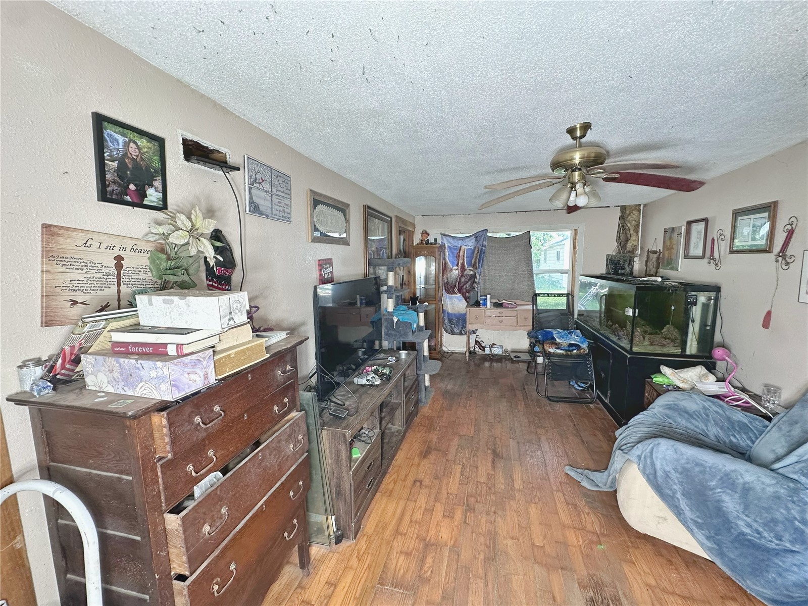1797 Maple Way Coggon IA 52218