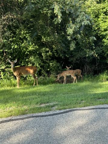 2804 Deer Valley Drive NW Swisher IA 52338