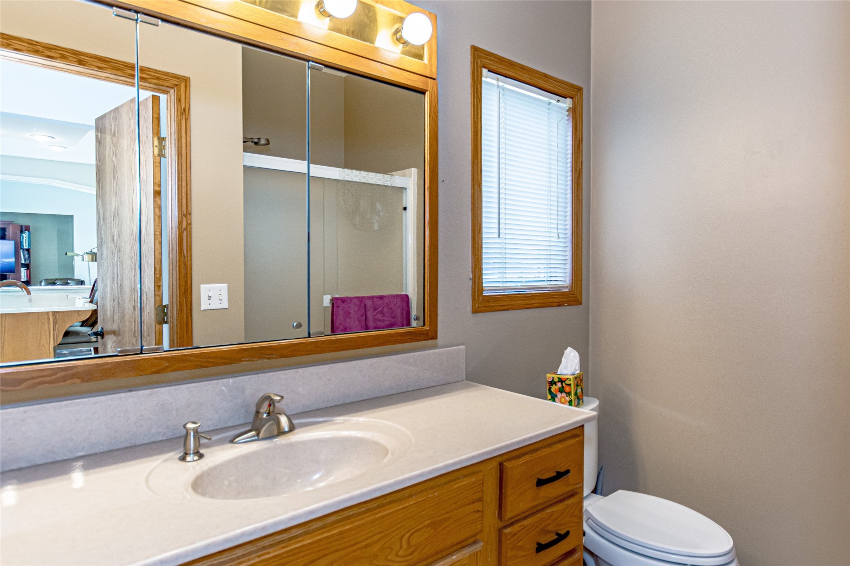 4675 Leprechaun Lane Cedar Rapids IA 52411