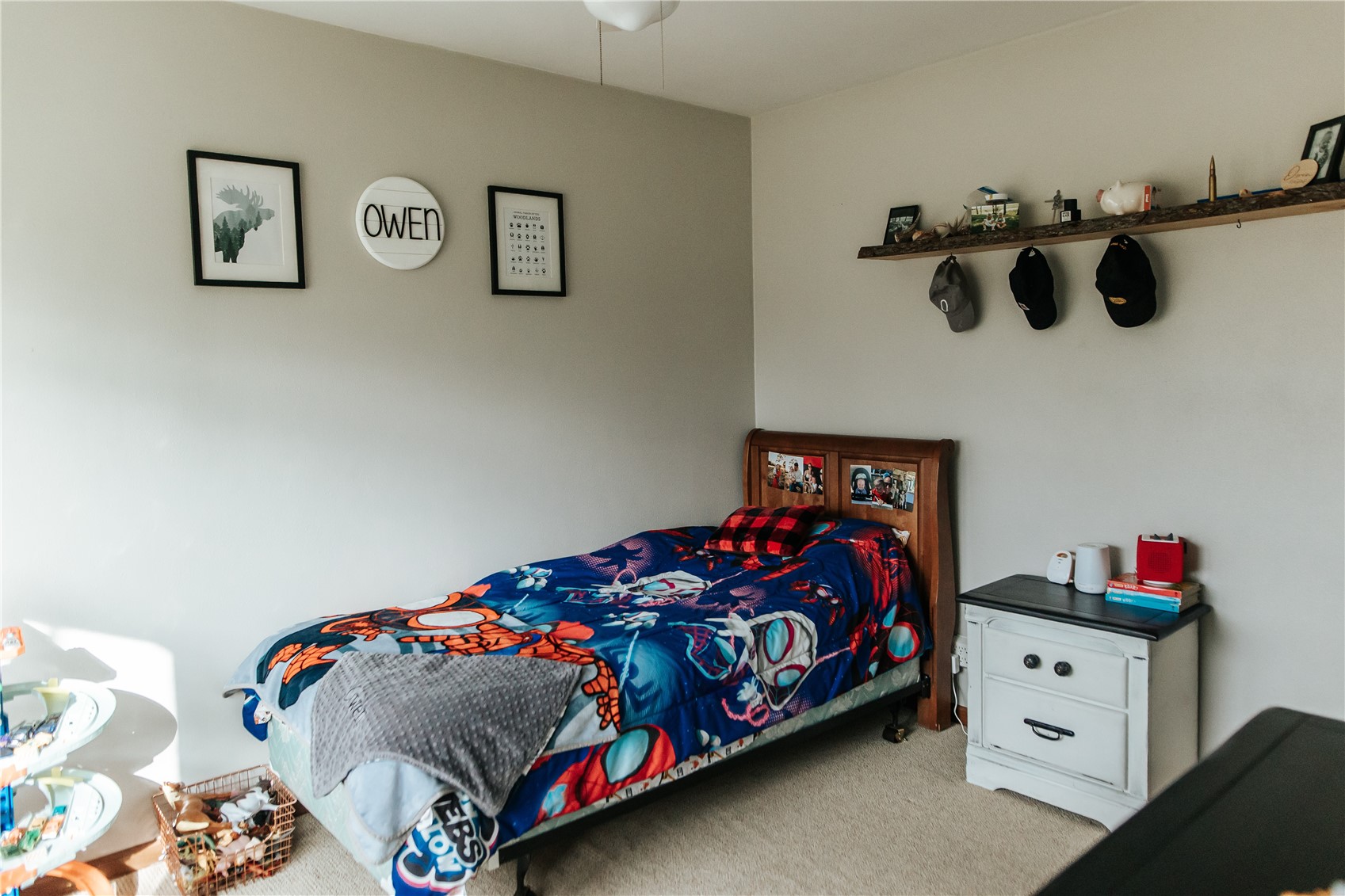 1310 Lilac Lane Cedar Falls IA 50613