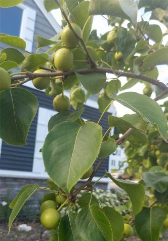 322 Liberty Drive SE Cedar Rapids IA 52403