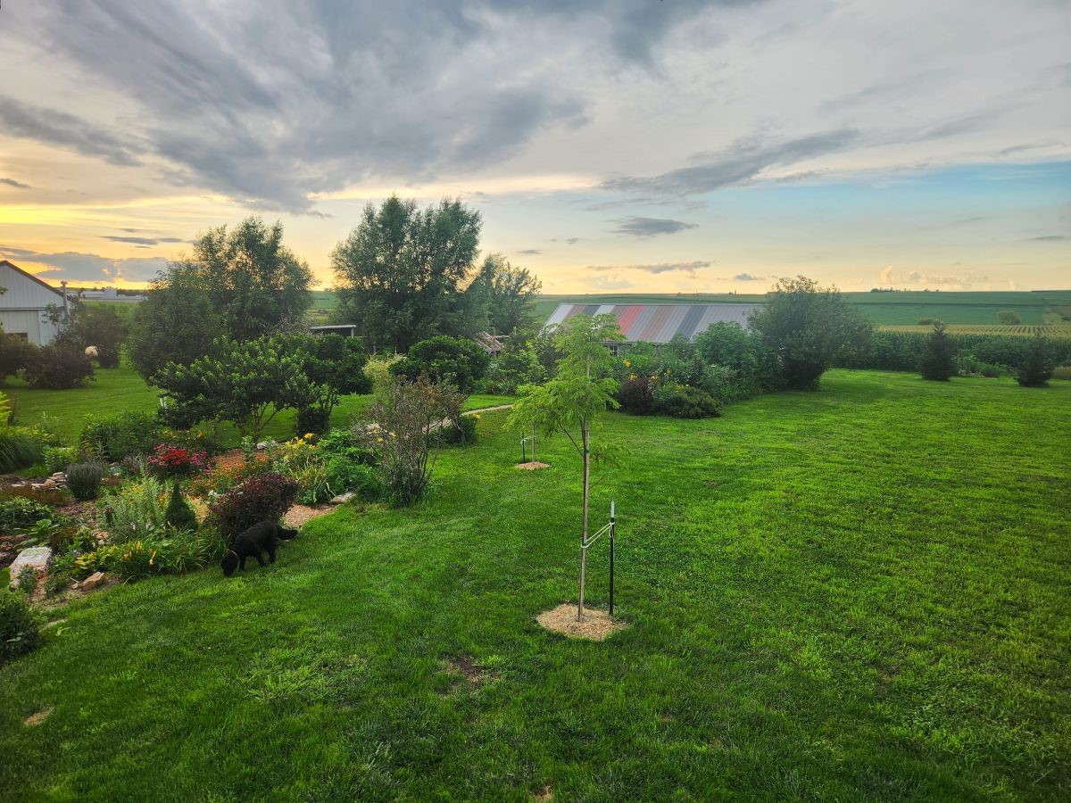 2449 68th Street Van Horne IA 52349