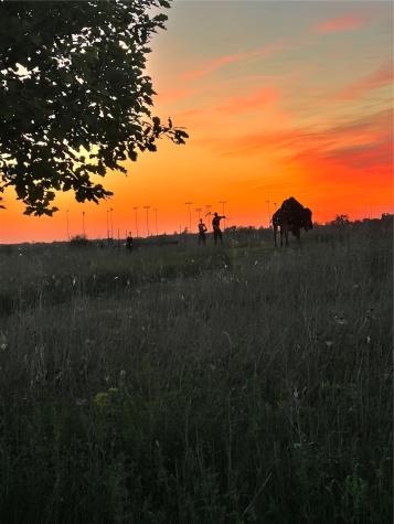 5472 Cimarron Court Marion IA 52302