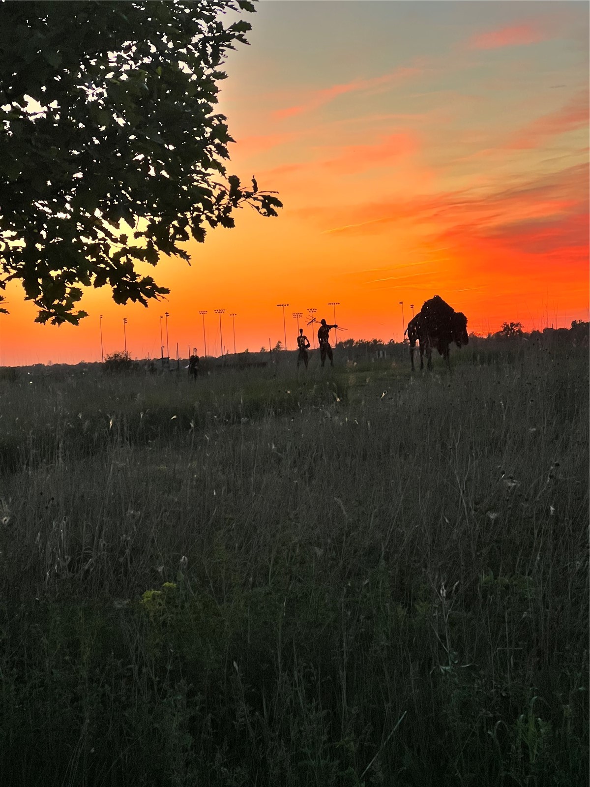5472 Cimarron Court Marion IA 52302