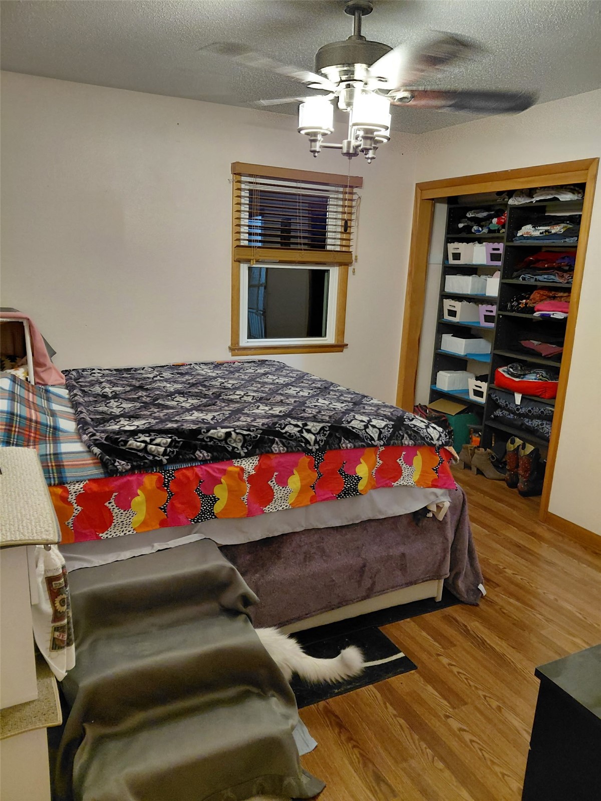 3808 Elmwood Drive NE Cedar Rapids IA 52402