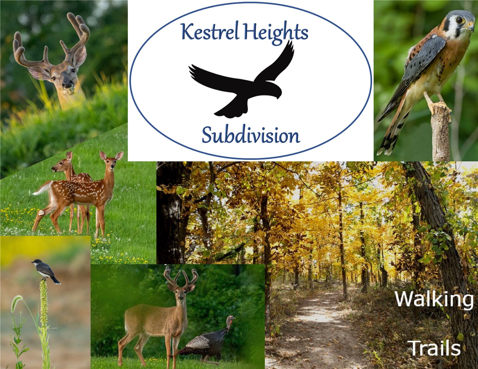 2416 Kestrel Drive SE Cedar Rapids IA 52403