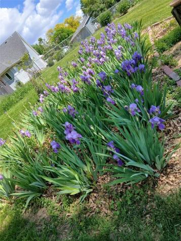 1688 17th Avenue Marion IA 52302