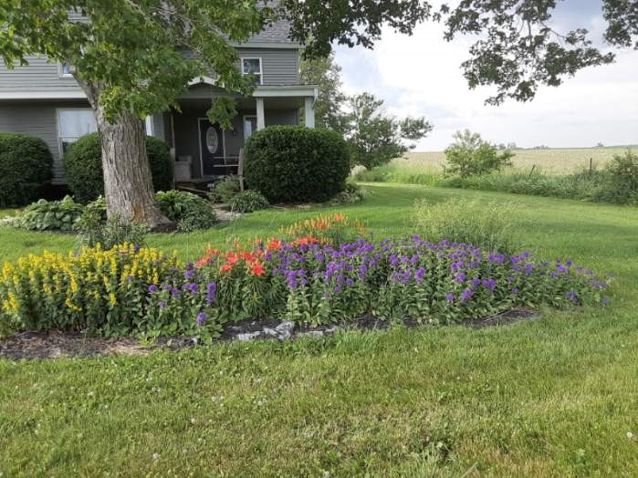 297 Goudy Road Mt Vernon IA 52314