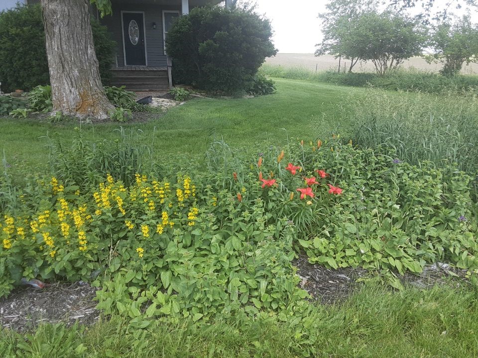 297 Goudy Road Mt Vernon IA 52314