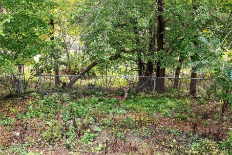 3854 Lost Valley Road SE Cedar Rapids IA 52403