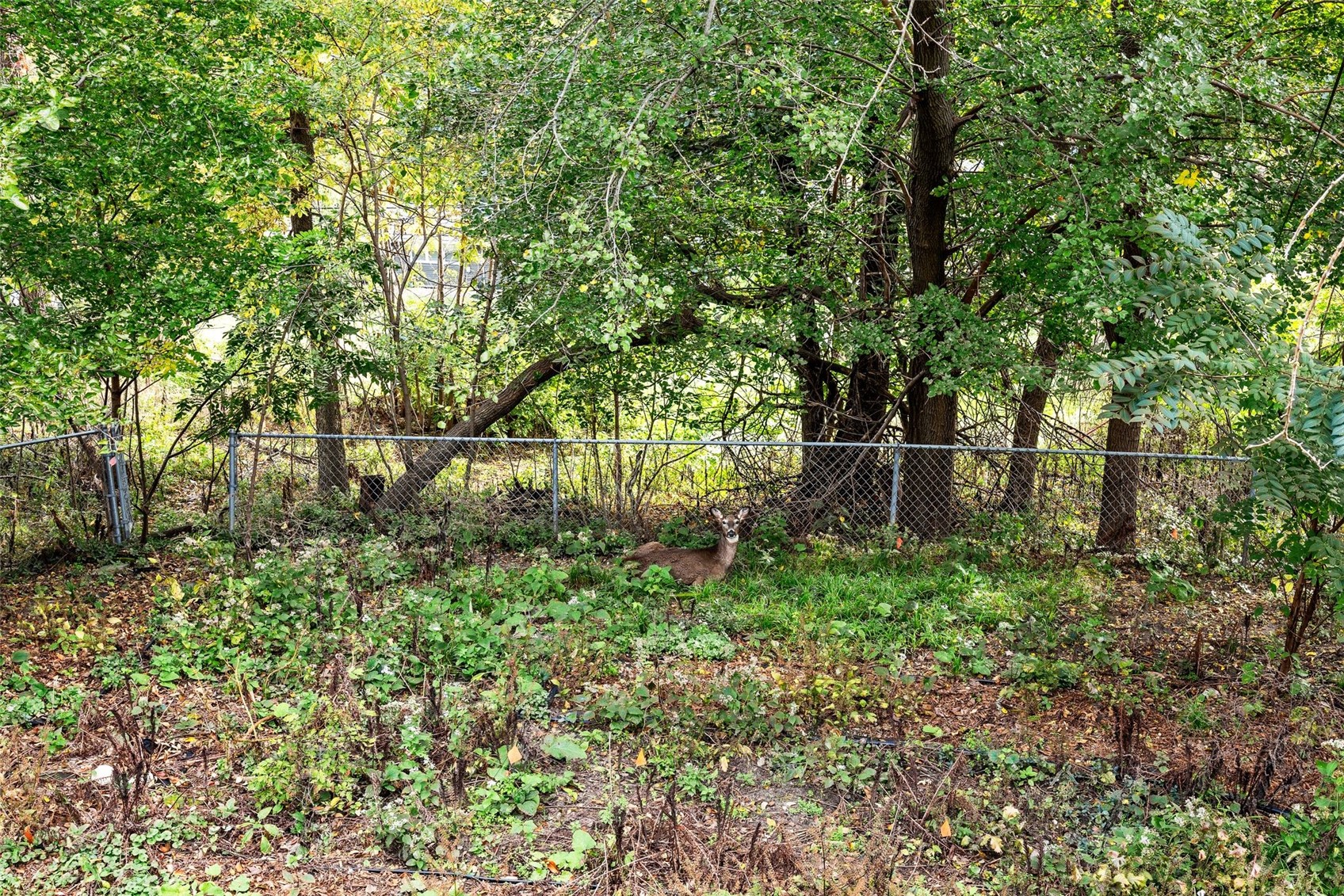 3854 Lost Valley Road SE Cedar Rapids IA 52403