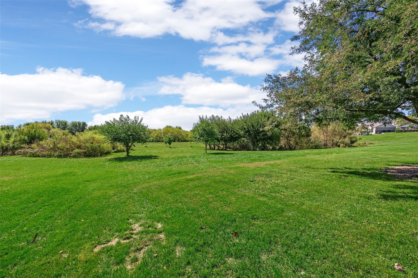 1207 Park Drive Durant IA 52747