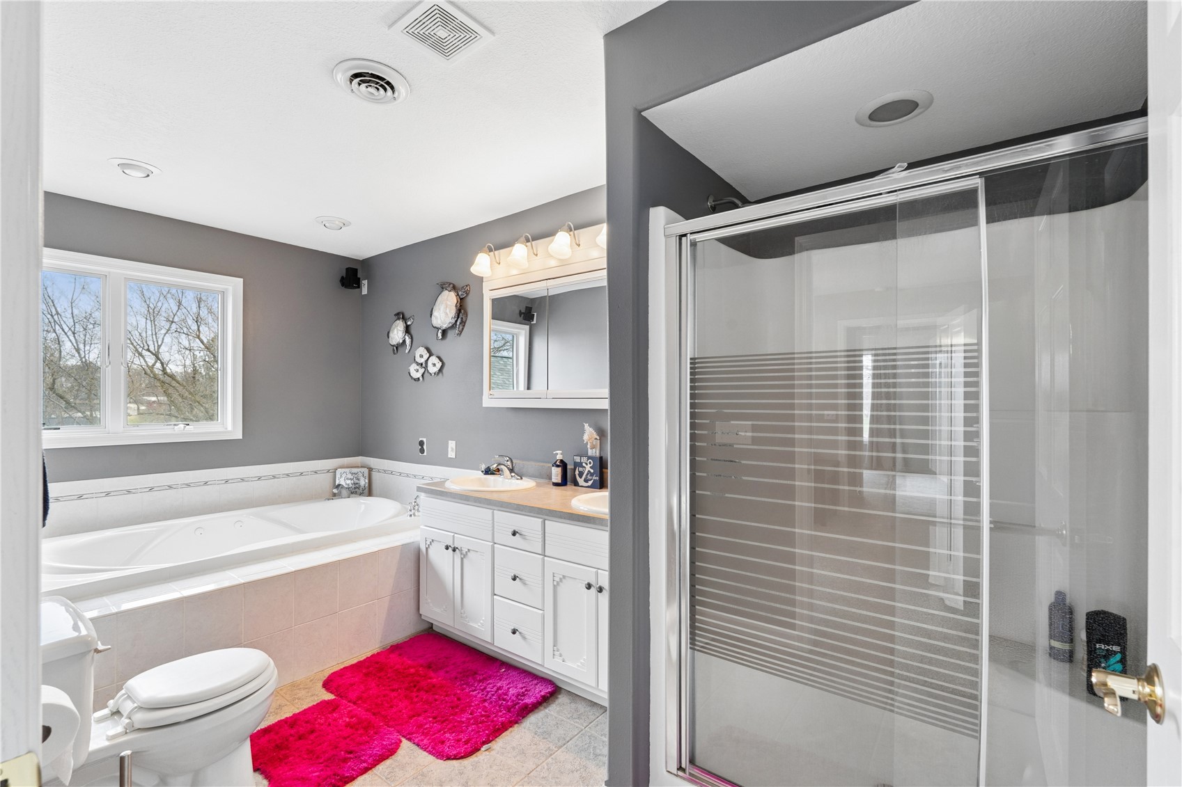 246 Hillcrest Ridge Montezuma IA 50171