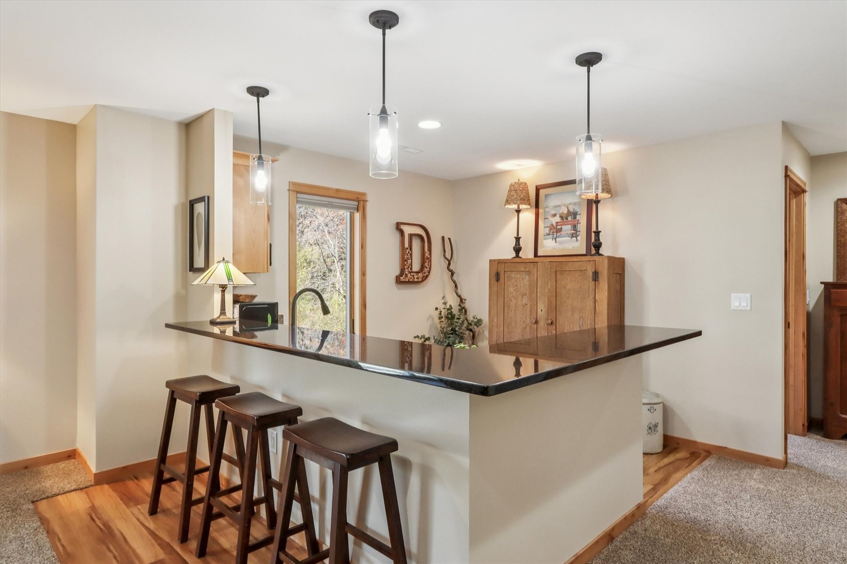 703 American Pharaoh Drive Iowa City IA 52240