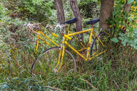 1905 Rogers Creek Road Ely IA 52227