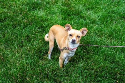 1905 Rogers Creek Road Ely IA 52227