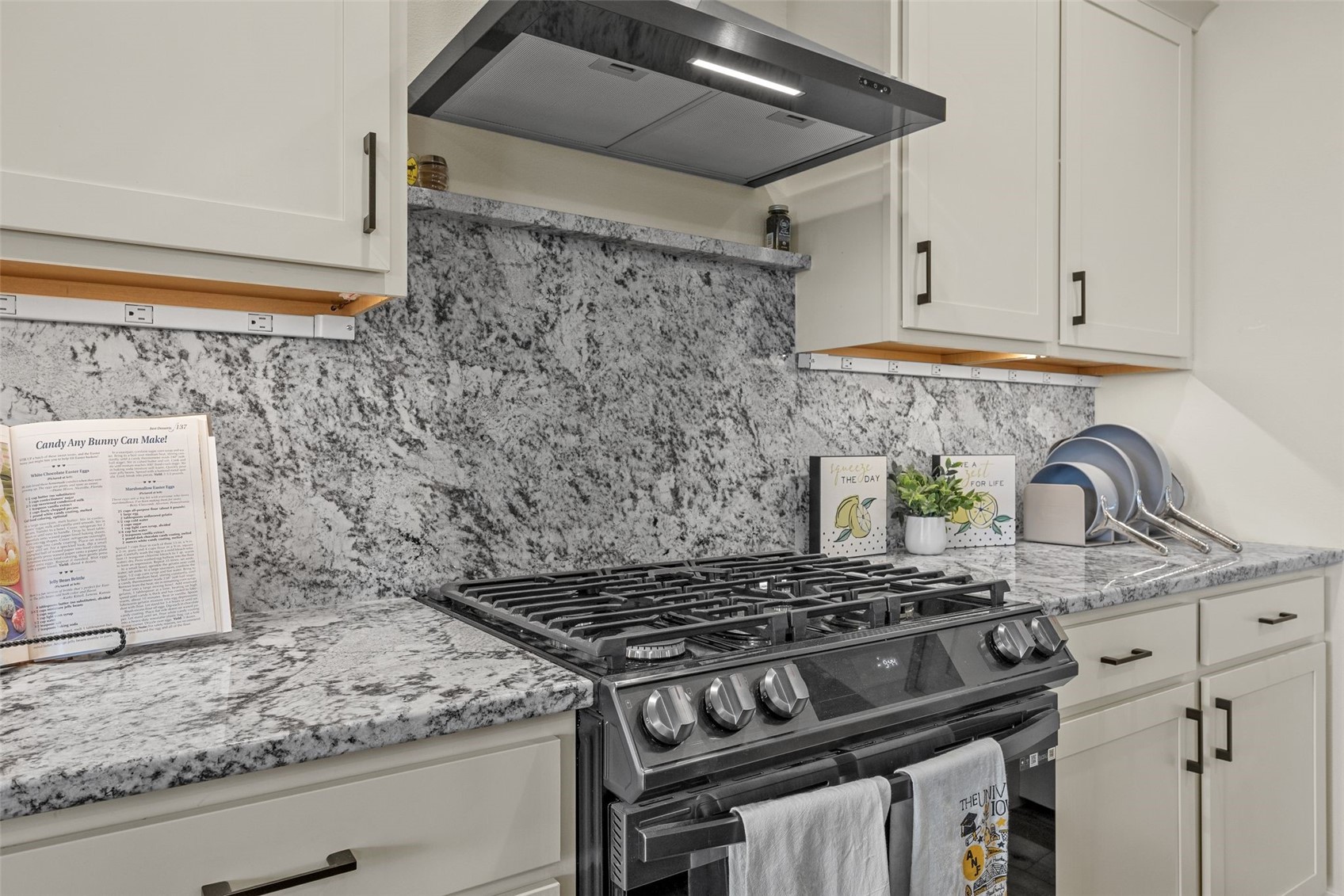 4113 Unbridled Avenue Iowa City IA 52240