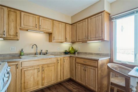 311 Sunset Drive Stanwood IA 52337