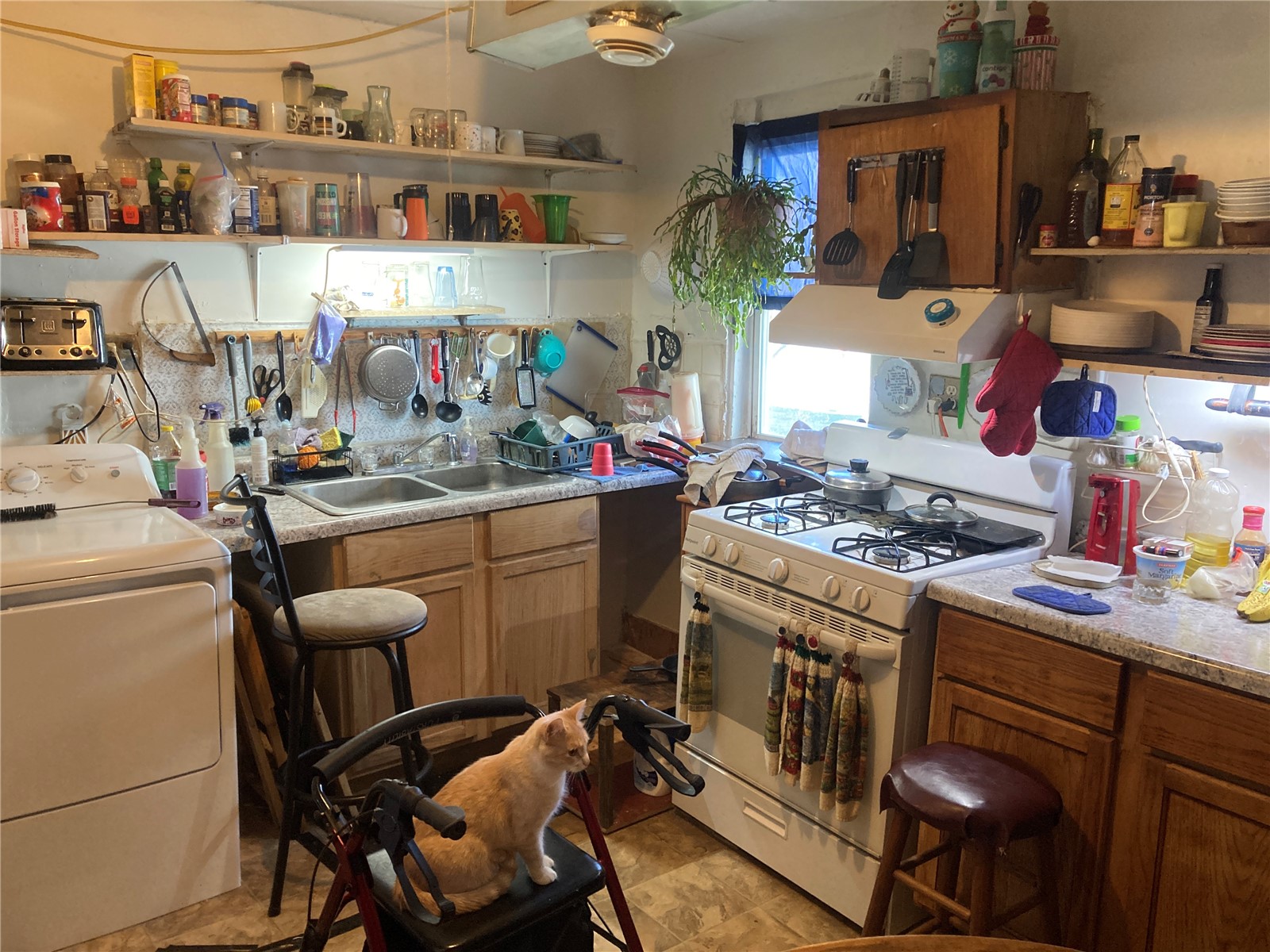 510 7th Avenue Vinton IA 52349