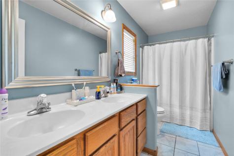 191 Bear Creek Court Palo IA 52324