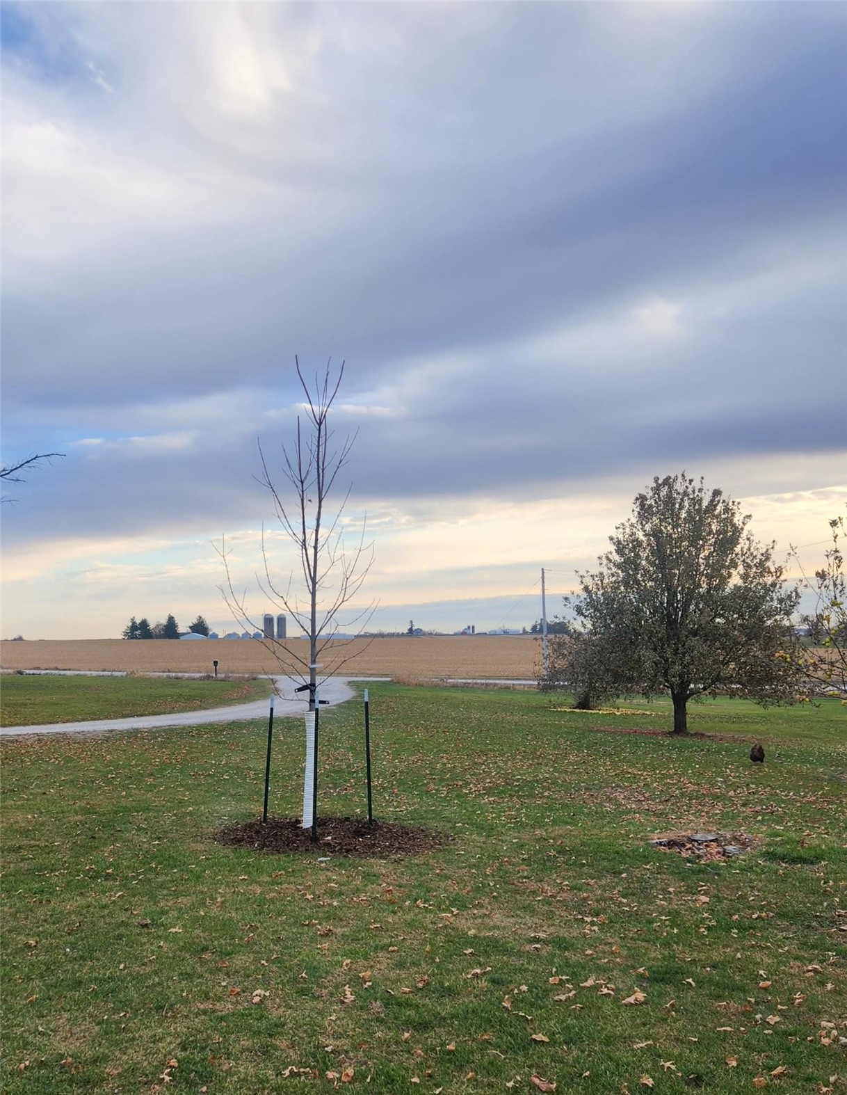 2769 55th Street Drive Vinton IA 52349