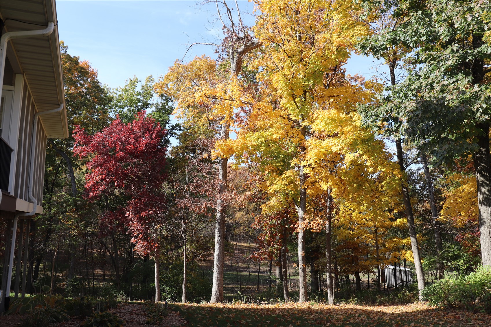 3364 Feather Ridge Road Toddville IA 52341