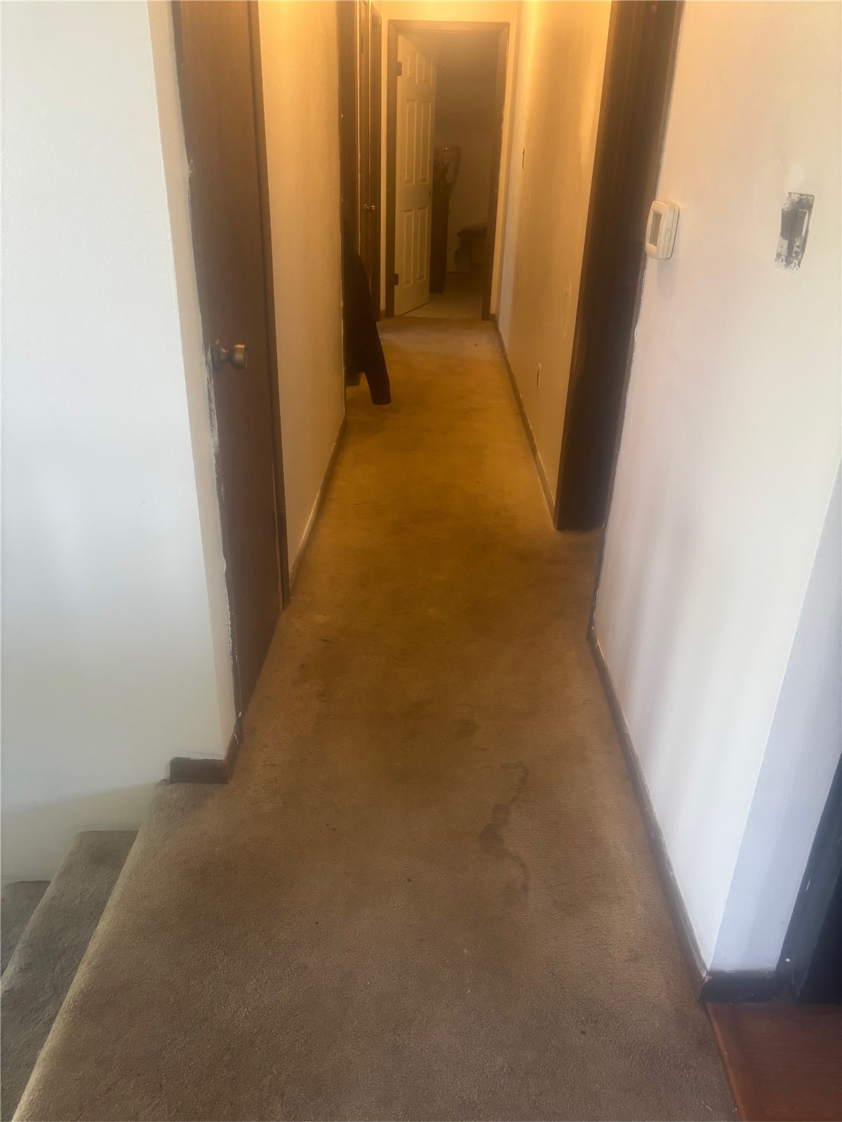 3419 Sue Lane NW Cedar Rapids IA 52405
