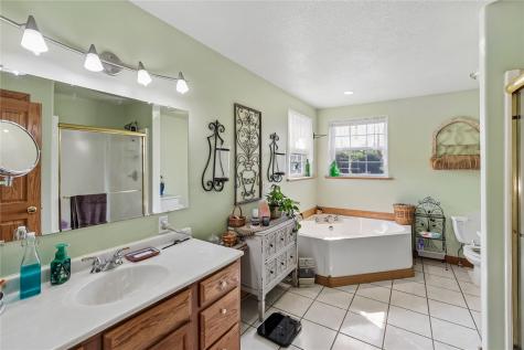 1065 Shae Drive Palo IA 52324