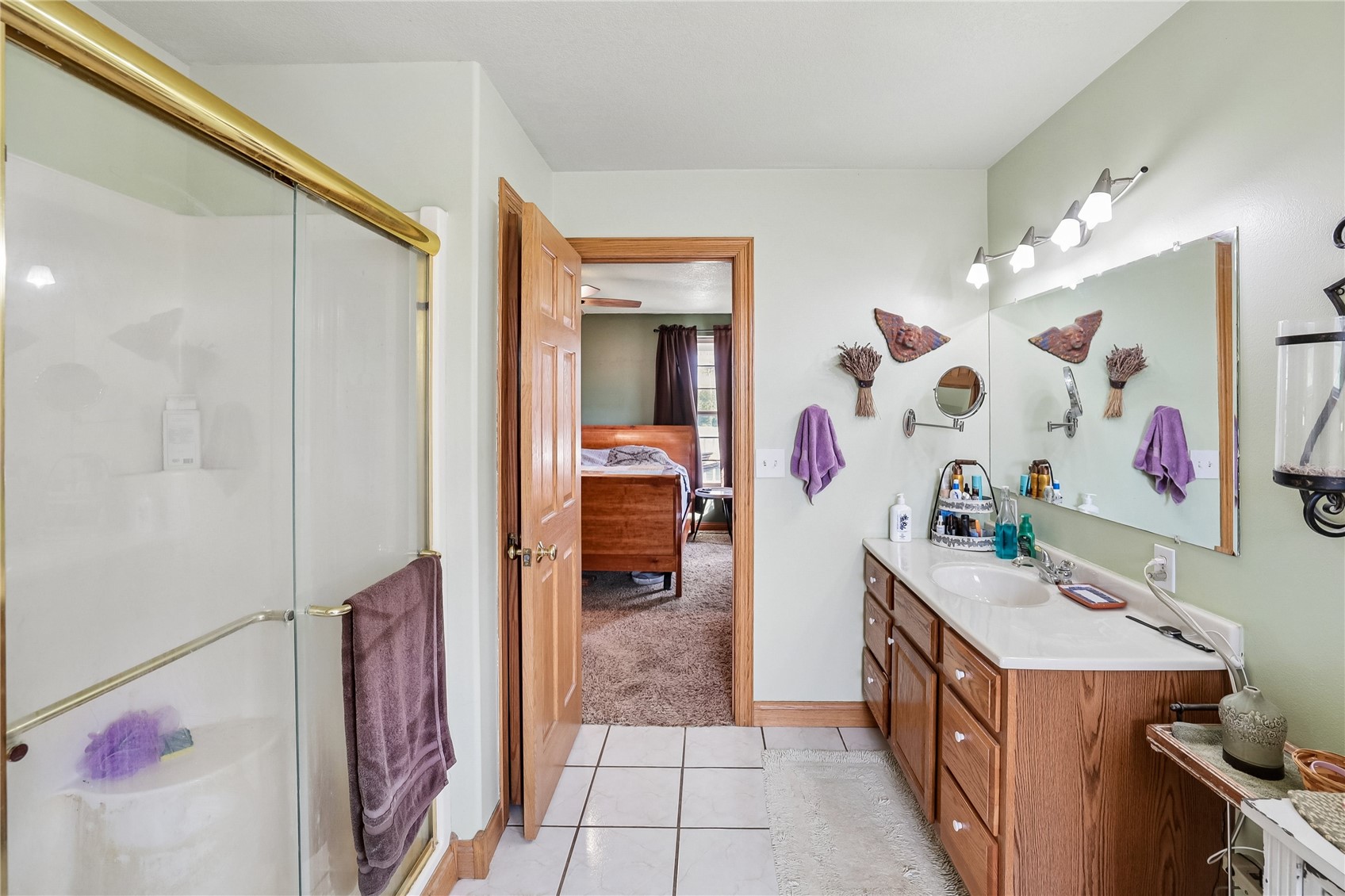 1065 Shae Drive Palo IA 52324