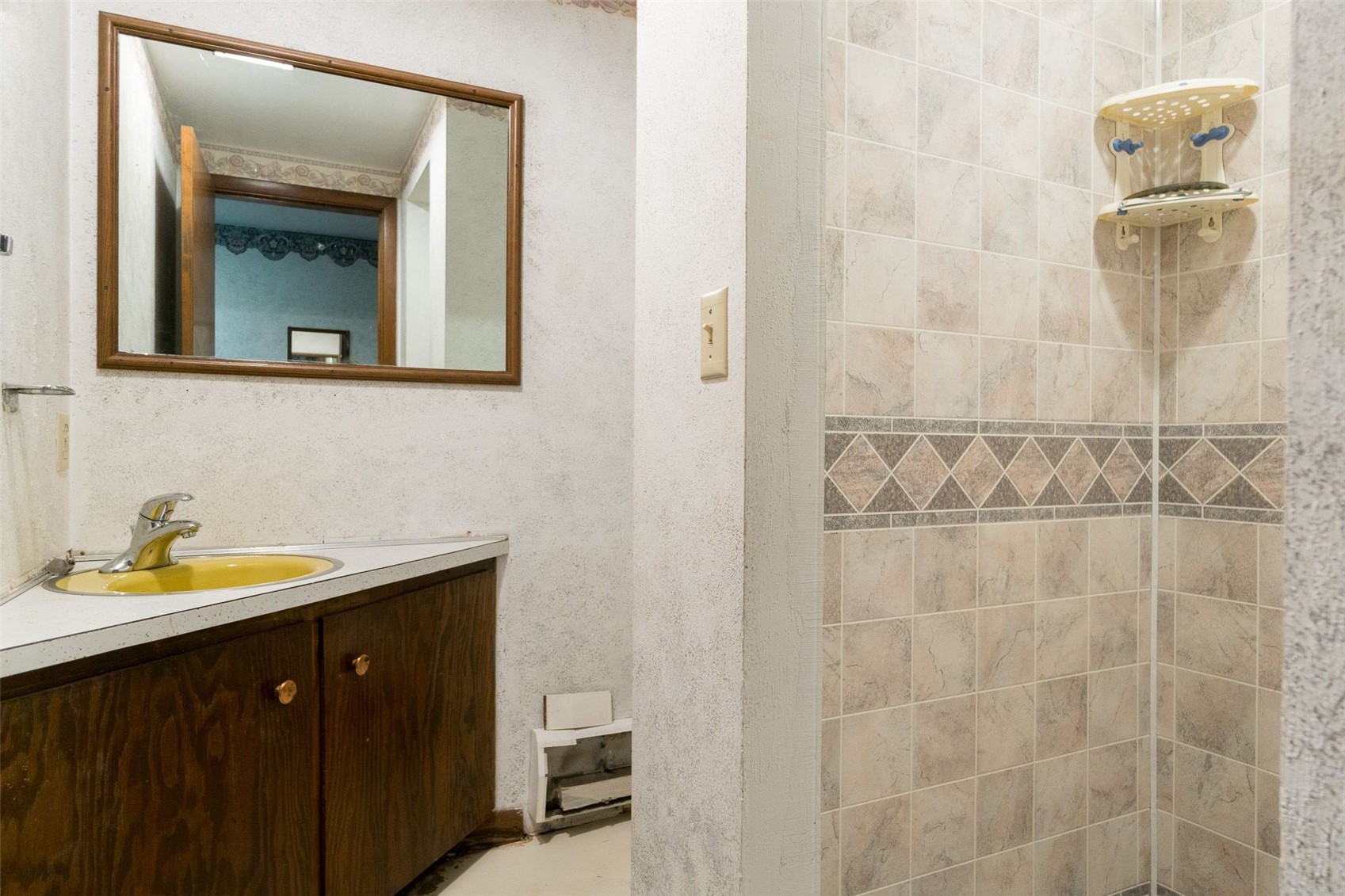 107 Mill Avenue Springville IA 52336