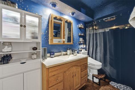 324 Lake View Drive NE Solon IA 52333