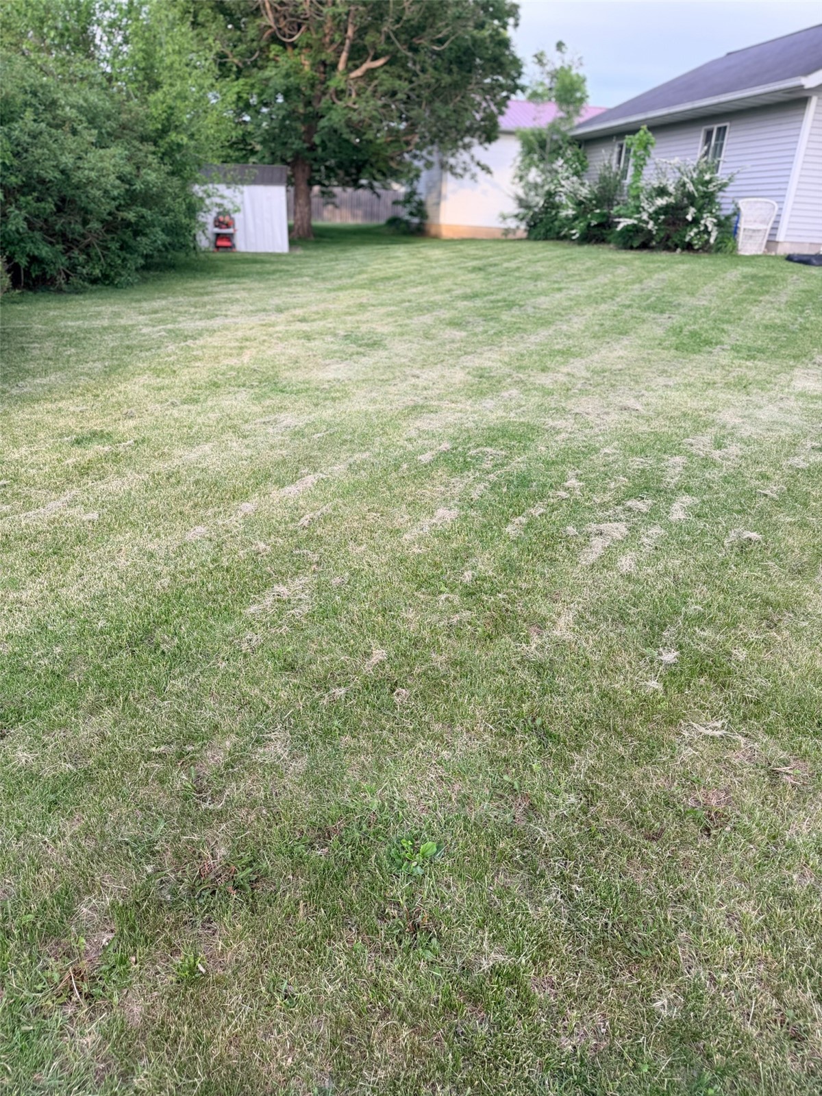 715 W 15th Street Vinton IA 52349