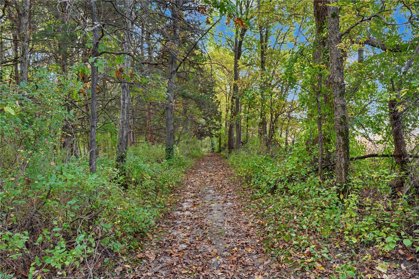 38948 Highway 410 Strawberry Pt IA 52076