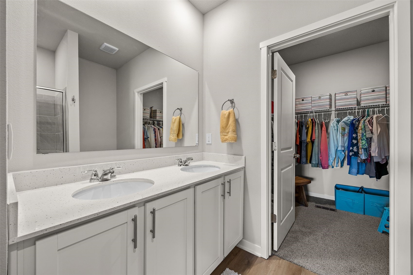 3389 Dreusicke Drive Coralville IA 52241