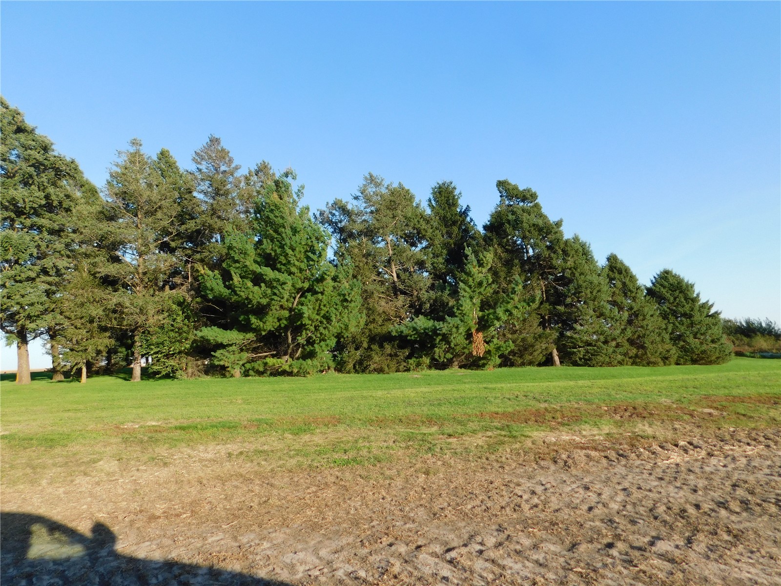 1724 Highway 130 Tipton IA 52772