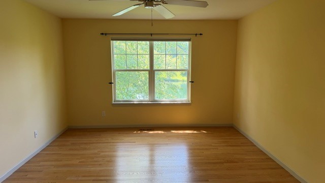 3411 Forest Valley Court NE Cedar Rapids IA 52411