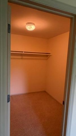3411 Forest Valley Court NE Cedar Rapids IA 52411