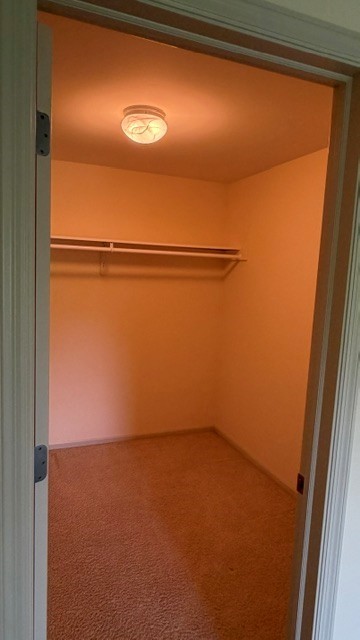 3411 Forest Valley Court NE Cedar Rapids IA 52411