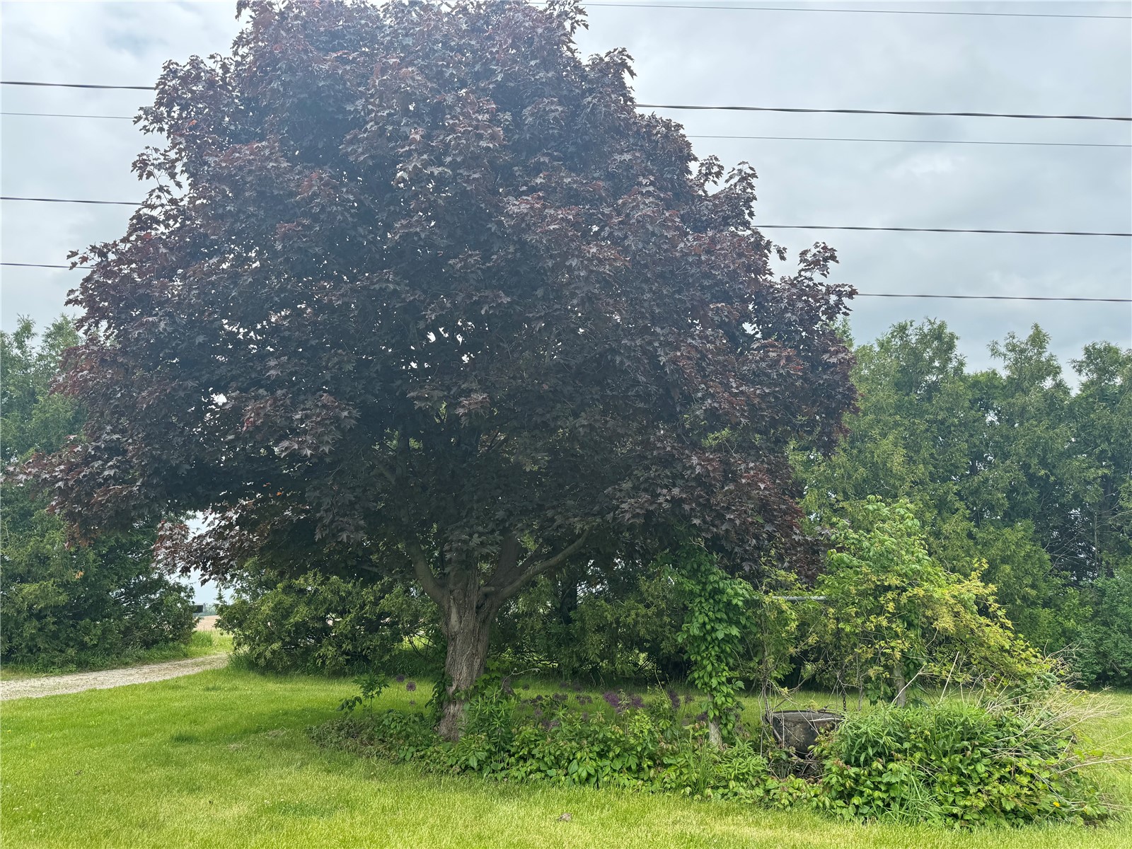 3174 63rd Street Drive Shellsburg IA 52332