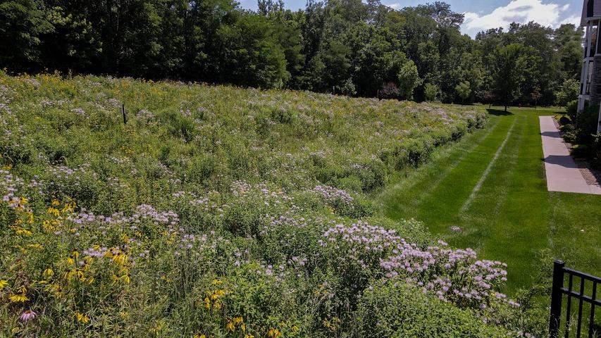750 E Foster Road Iowa City IA 52245