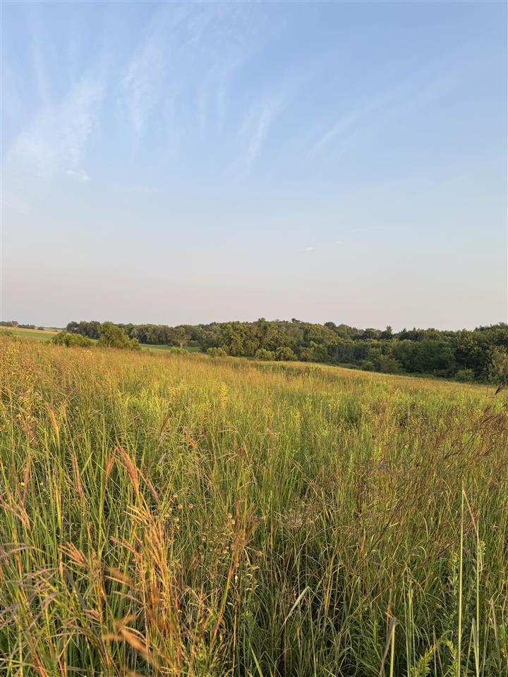 122ND Street Fairfield IA 52556