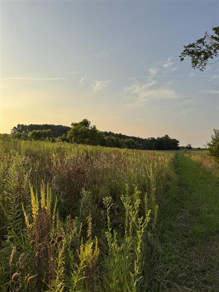 122ND Street Fairfield IA 52556