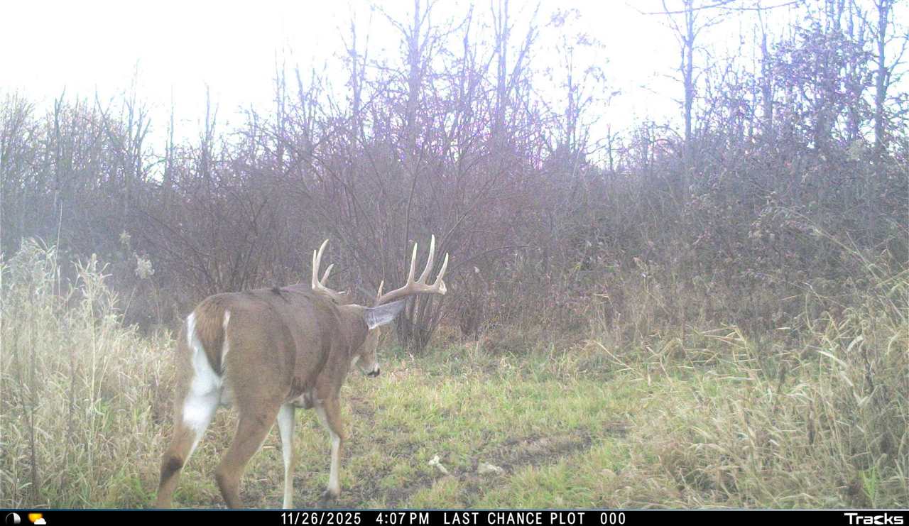 122ND Street Fairfield IA 52556