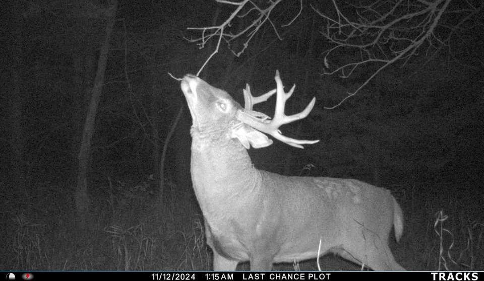 122ND Street Fairfield IA 52556