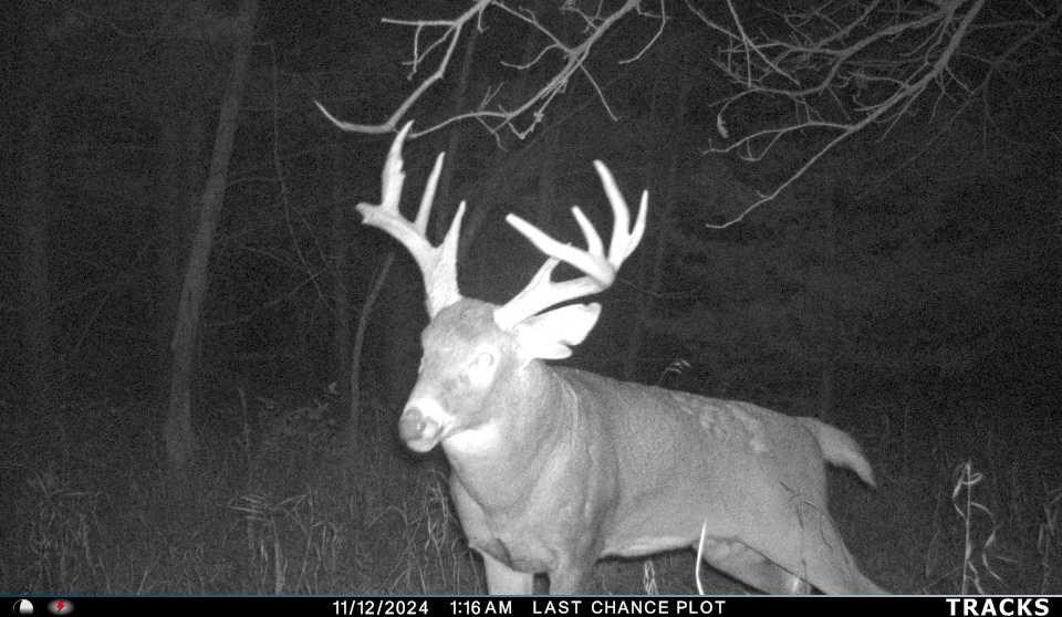 122ND Street Fairfield IA 52556