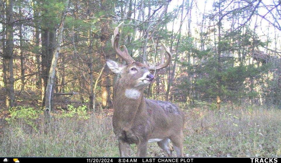 122ND Street Fairfield IA 52556