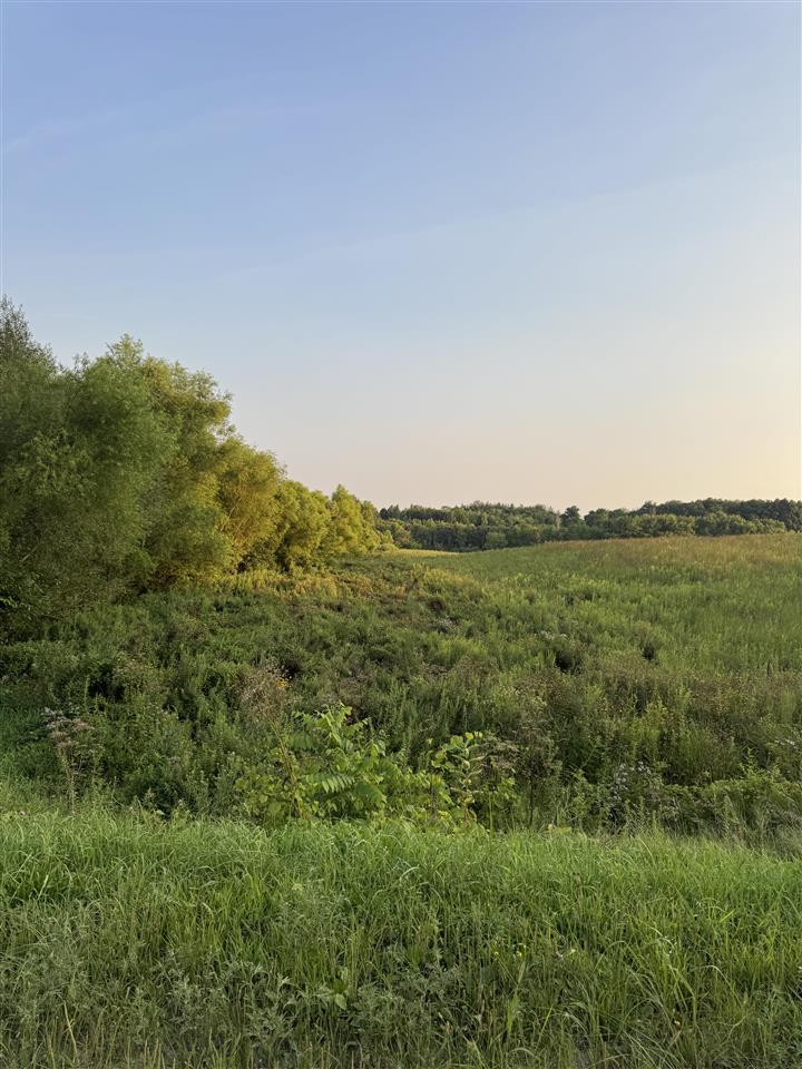 122ND Street Fairfield IA 52556