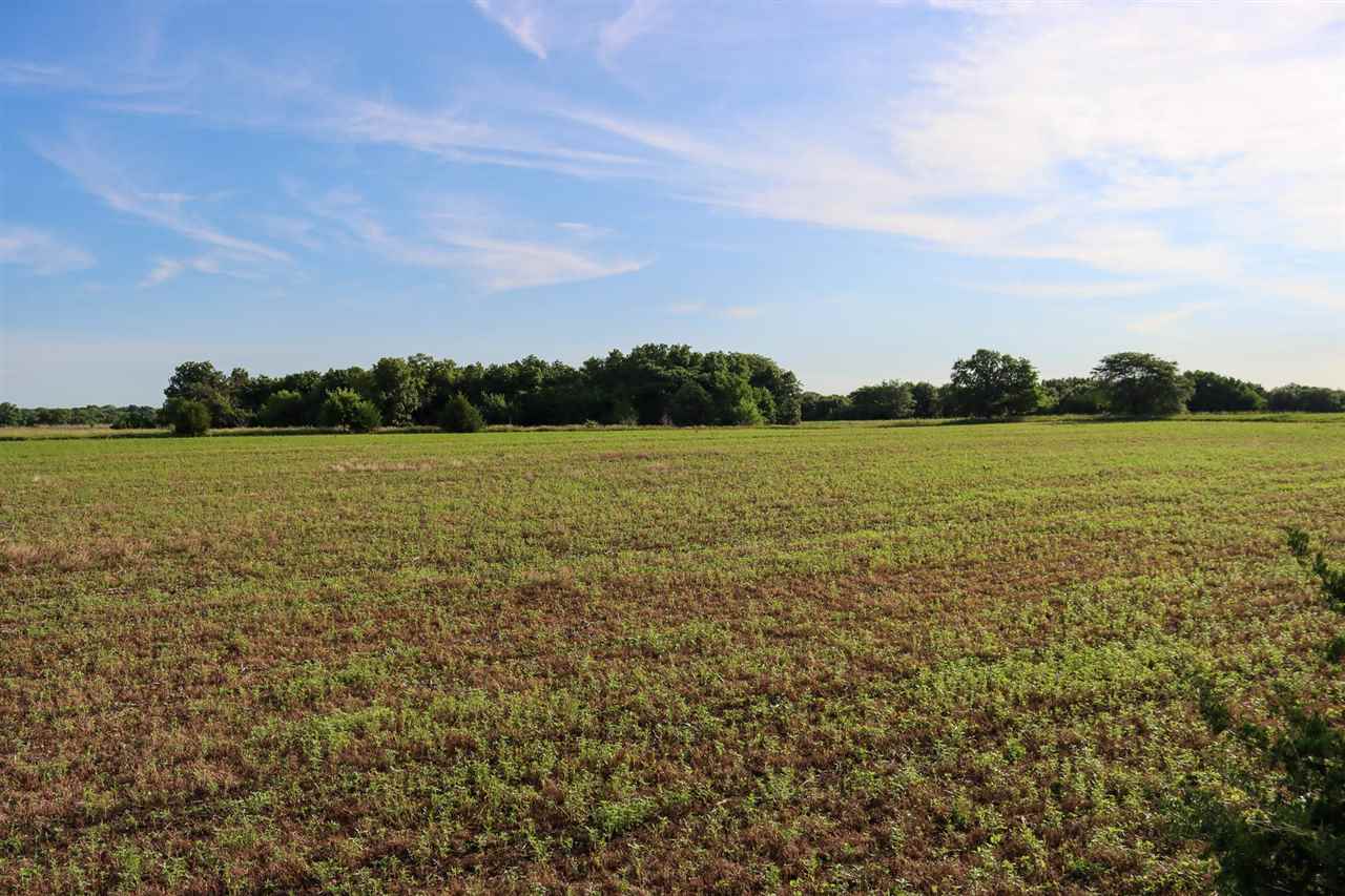 000 150th Street Stockport IA 52651