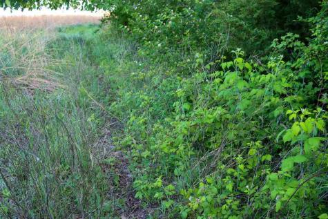 000 Highway 14 IA 50057