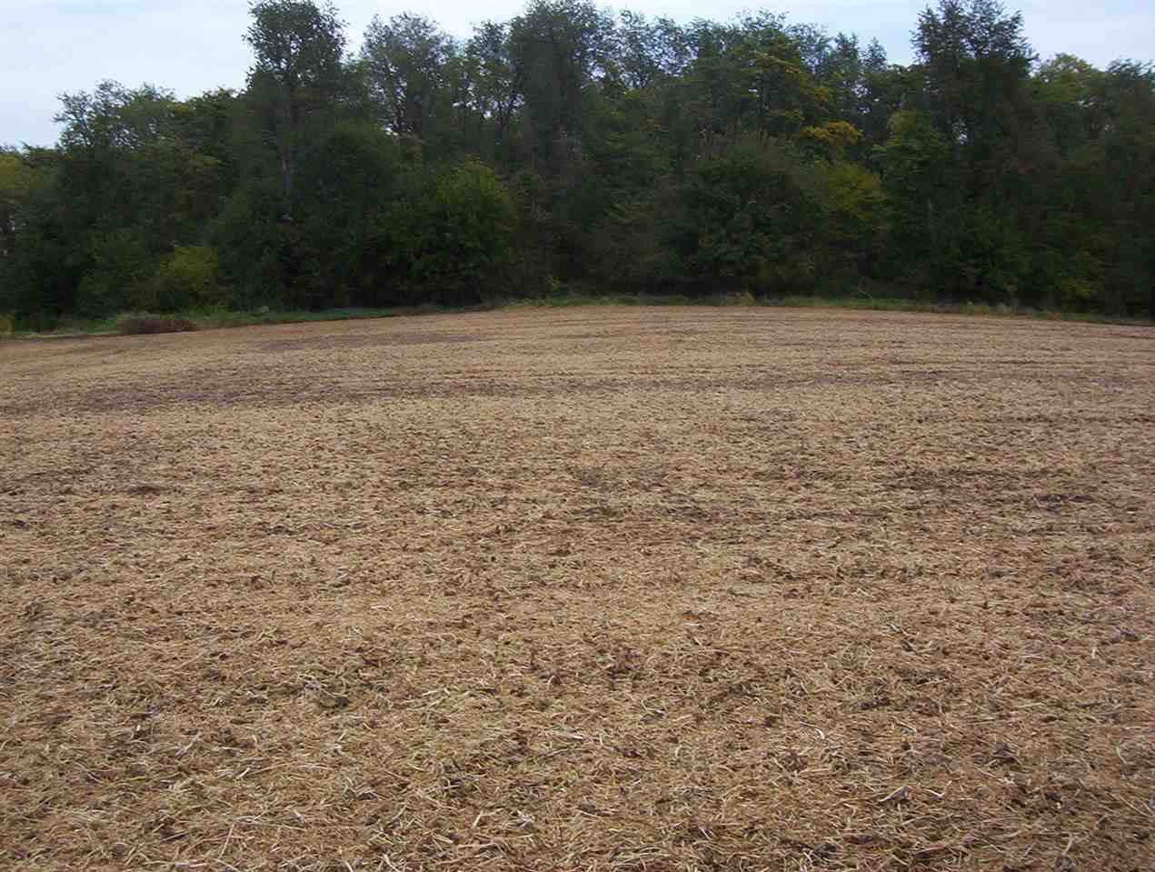 210TH Street NE Solon IA 52333